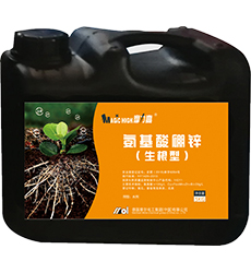 ���������\(������)